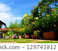 A wide roof balcony transformed into a colorful tropical space with blue skies and flowers 129743812