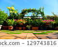 A lovely sunny day on the roof balcony 129743816