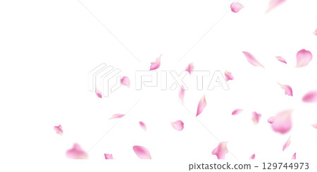 Pastel pink flower petals fall on abstract floral background with beautiful petal greeting card design. Vector illustration 129744973