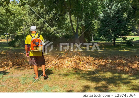 Worker cleaning falling leaves in autumn park. Service worker using leaf blower. Autumn season. Park cleaning service concept Worker cleaning falling leaves in autumn park. Service worker using leaf blower. Autumn season. Park cleaning service concept 129745364