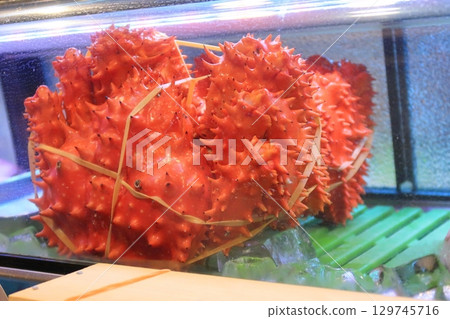 陳列櫃裡擺放著花咲蟹 129745716