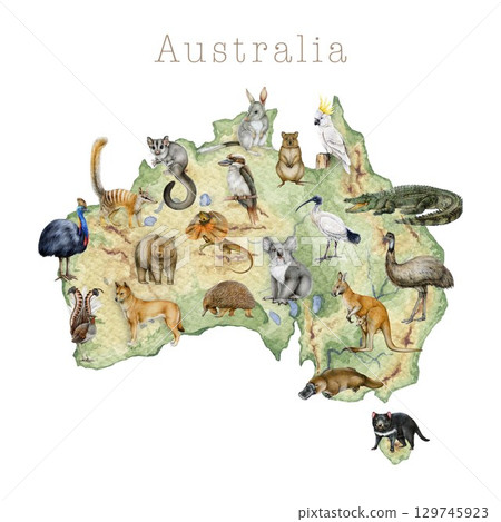 Australian native animals and birds on Australia continent map hand drawn watercolor illustration. Koala, kangaroo, emu, dingo animals. Australian fauna placed on the map vintage style illustration Australian native animals and birds on Australia continent map hand drawn watercolor illustration. Koala, kangaroo, emu, dingo animals. Australian fauna placed on the map vintage style illustration 129745923