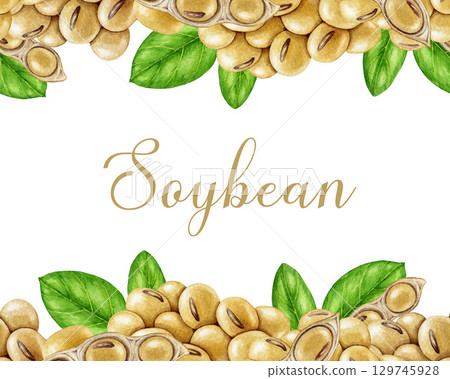 Soybean seamless border realistic close-up watercolor illustration. Hand drawn soy beans with green leaf element. Soya plant natural organic vegan source of protein border element on white background 129745928