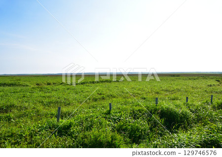 北海道根室市國道35號線從野沙布岬到京陵橋的風景 北海道根室市國道35號線從野沙布岬到京陵橋的風景 129746576