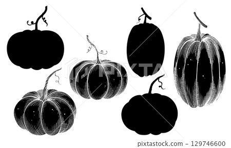 Pumpkins vector illustration. Linear drawing with gourds painted by black inks. Etching and silhouette of autumn vegetables for harvest festival or thanksgiving invitations or greeting cards. Pumpkins vector illustration. Linear drawing with gourds painted by black inks. Etching and silhouette of autumn vegetables for harvest festival or thanksgiving invitations or greeting cards. 129746600