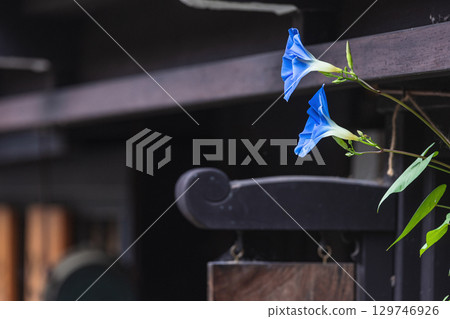 250816 Sanmachi g032 250816 Sanmachi g032 129746926