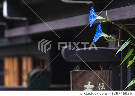 250816 三町 g035 129746929