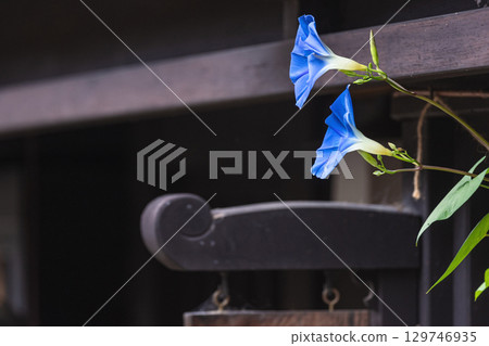 250816 Sanmachi g041 129746935