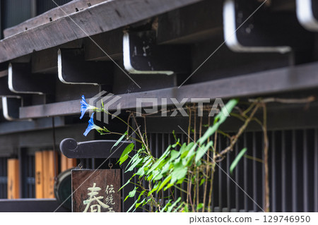 250816 Sanmachi g066 250816 Sanmachi g066 129746950