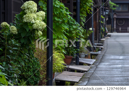 250816 Sanmachi G101 129746964