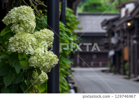 250816 三町 G107 129746967