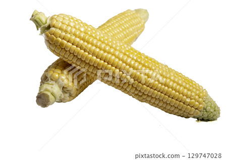 corn on the cob isolated on white background corn on the cob isolated on white background 129747028