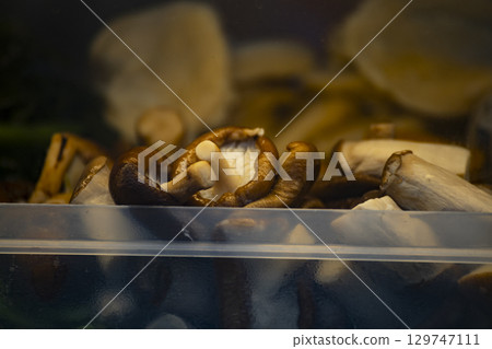 天然成分：令人心滿意足的香氛物種 129747111