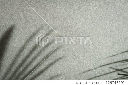 Shadow of palm leaf on textured gray wall. Shadow of palm leaf on textured gray wall. 129747391