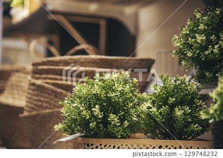 Plant pot office decor on wood table. Green decorate home office desk. Green potted plant on wood office desk in springtime garden. Fern bush green leaf foliage floral Houseplant home office decor 129748232