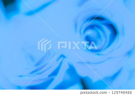 藍玫瑰背景素材(庫存照片) 藍玫瑰背景素材(庫存照片) 129748488