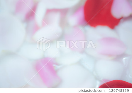 花瓣背景素材（照片素材） 129748559