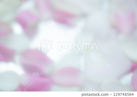 花瓣背景素材（照片素材） 129748564