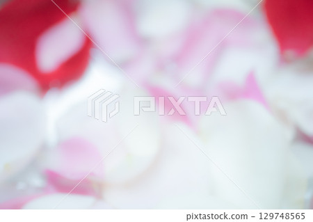 花瓣背景素材（照片素材） 129748565