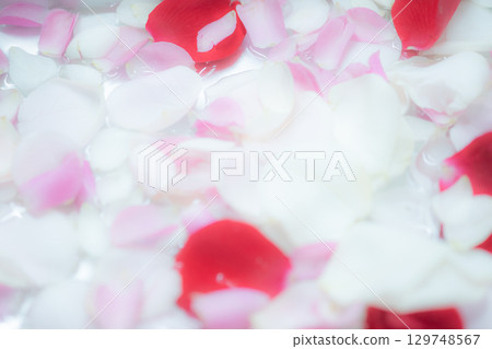花瓣背景素材（照片素材） 129748567
