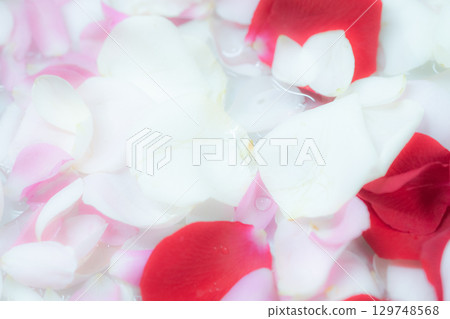 Petal background material (photo material) Petal background material (photo material) 129748568