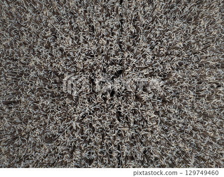 Aerial view of a wheat field creating concentric circles, showcasing agricultural patterns in the countryside near iffezheim, Germany 129749460