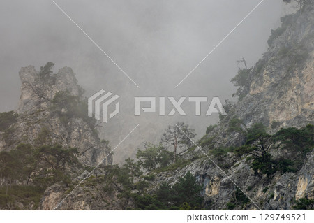 Misty mountain peaks shrouded in fog, sparse vegetation emerging through hazy landscape, revealing raw wilderness and ethereal silence Misty mountain peaks shrouded in fog, sparse vegetation emerging through hazy landscape, revealing raw wilderness and ethereal silence 129749521