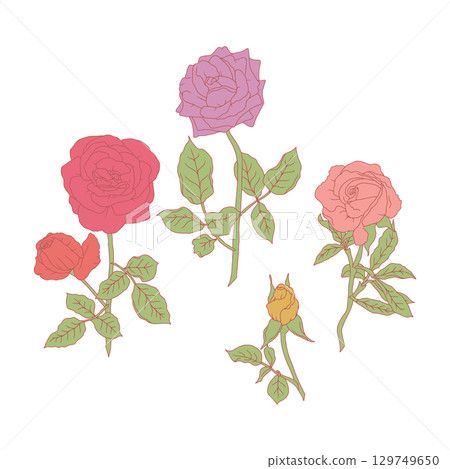 Hand drawn line art pastel pink and purple rose flowers set isolated on white background 129749650