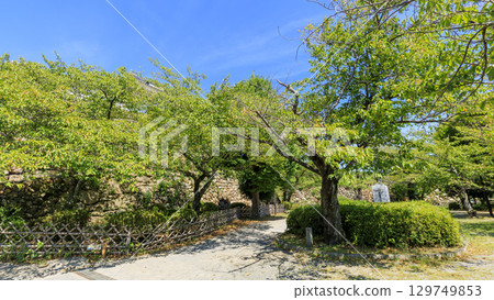 The ruins of Hamamatsu Castle, where Tokugawa Ieyasu rose to power 129749853