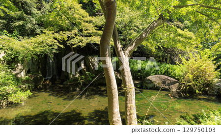Japanese garden at Hamamatsu Castle ruins 129750103