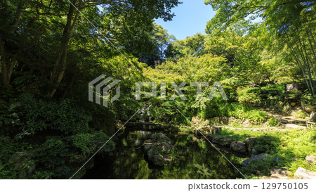 濱松城遺址的日本庭園 濱松城遺址的日本庭園 129750105