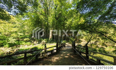濱松城遺址的日本庭園 濱松城遺址的日本庭園 129750106