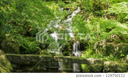 Japanese garden at Hamamatsu Castle ruins 129750112