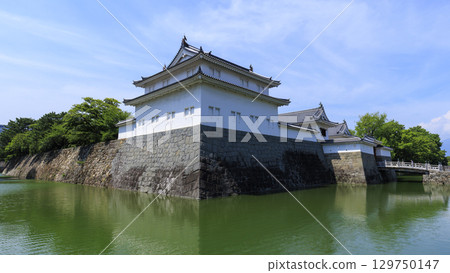 駿府城跡的夏天 129750147