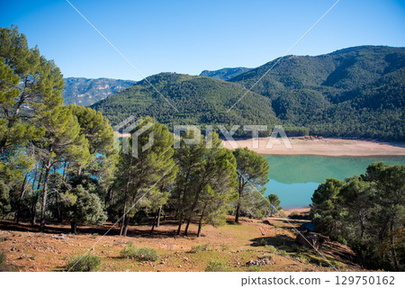 landscape of green forest and blue lake landscape of green forest and blue lake 129750162