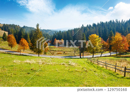 countryside mountain landscape of ukraine in autumn. rural road winding through valley among field and trees on the hill in orange foliage. scenic vista in fall season for travel and outdoor adventure 129750168