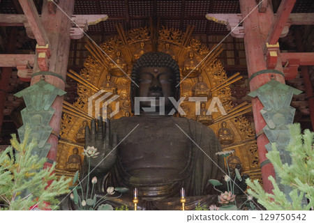 The Great Buddha of Nara at Todaiji Temple in Nara Prefecture 129750542