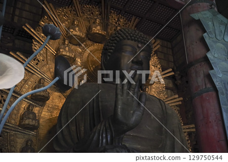 The Great Buddha of Nara at Todaiji Temple in Nara Prefecture 129750544