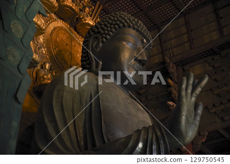奈良縣東大寺的奈良大佛 129750545