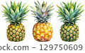 Three Watercolor Pineapples 129750609