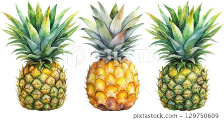 Three Watercolor Pineapples 129750609