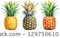 Three Watercolor Pineapples 129750610