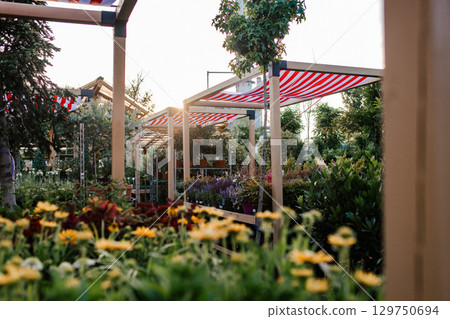 Rows of blooming flowers and plants in outdoor garden centre. 129750694
