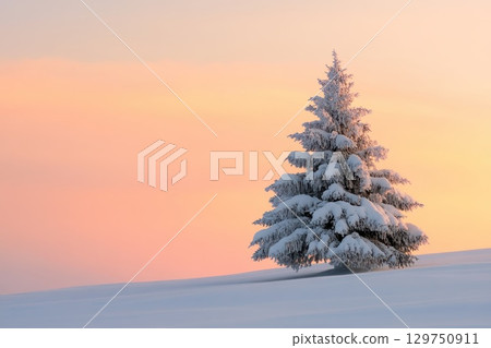 winter landscape trees covered with snow winter landscape trees covered with snow 129750911