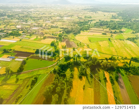 Aerial view of agricultural fields and rural road at sunrise. Farmland organization, seasonal cultivation, and countryside life in summer morning light. 129751455