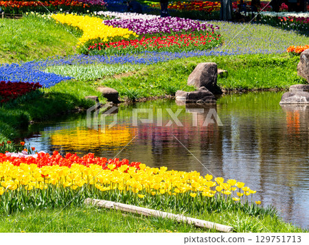 春暖花開：色彩繽紛、充滿樂趣的鬱金香花田 129751713