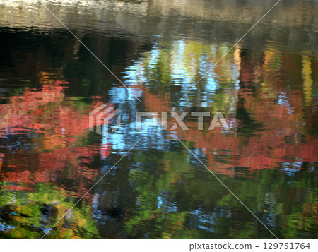 Autumn leaves reflected on the water Autumn leaves reflected on the water 129751764