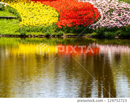 春暖花開:色彩繽紛、充滿樂趣的鬱金香花田 春暖花開:色彩繽紛、充滿樂趣的鬱金香花田 129752723
