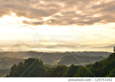 Morning rice terraces at Yamakoshi Ipponsugi (Niigata Prefecture) 129753202