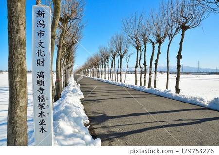 Manganji Temple Hasagi in winter (Niigata Prefecture) Manganji Temple Hasagi in winter (Niigata Prefecture) 129753276
